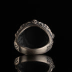 Viking Vegvisir Necklace & Helm of Awe Ring Set