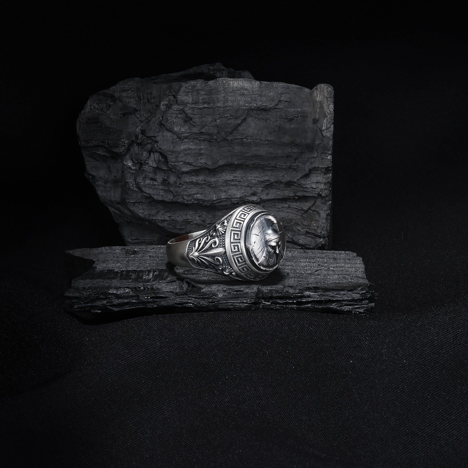 Gladiator & Spartan Ancient Greek