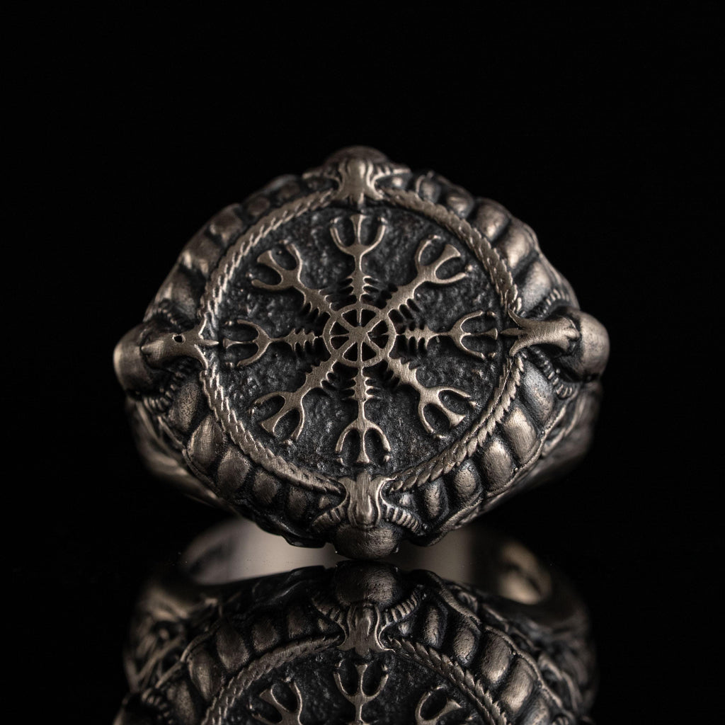 Viking Vegvisir Necklace & Helm of Awe Ring Set