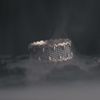 Personalized Dragon Scale Ring